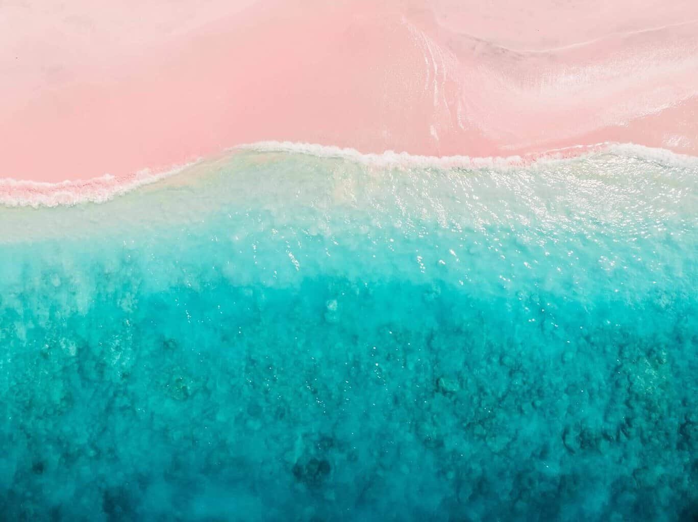 pink beach komodo island