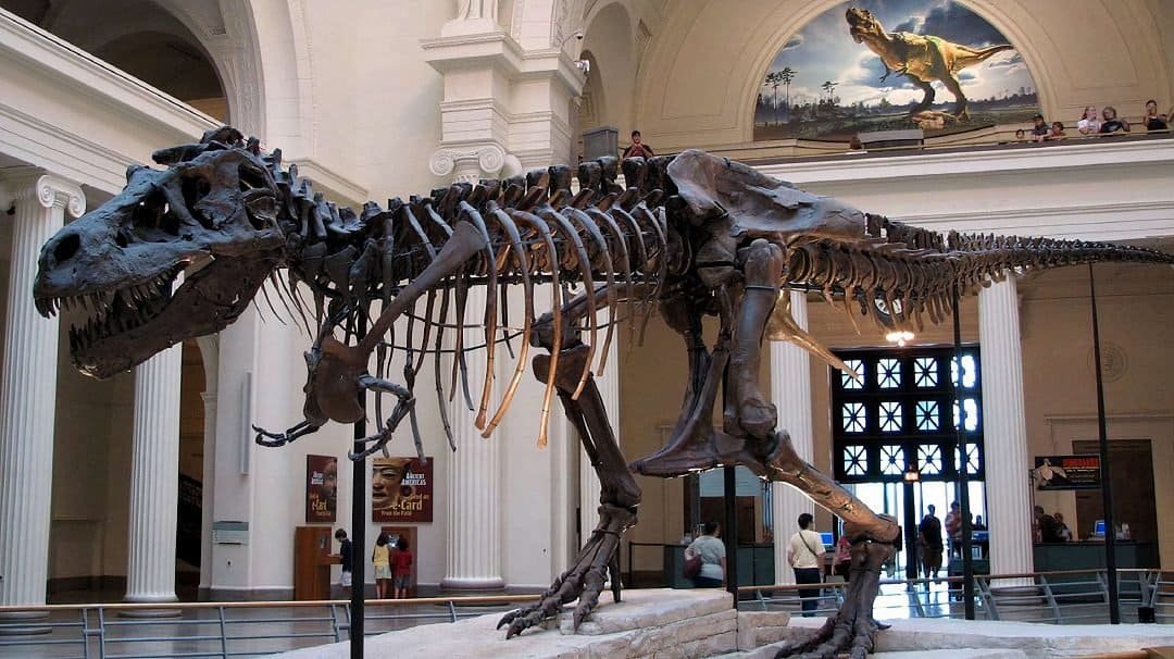 Museum Zoologi (sumber atourin.com)
