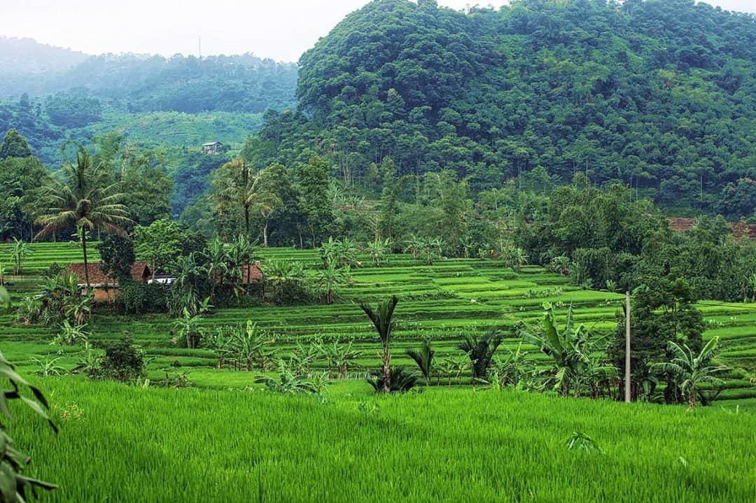 Berkemah modern dan menyatu dengan alam (Sumber pondokrasamala.com)