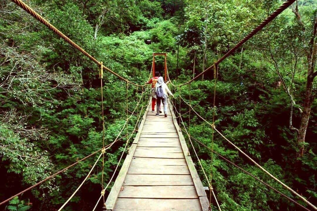 Taman Hutan Raya Ir. H. Djuanda - Oase Hijau di Pusat Kota (sumber wikipedia.com)