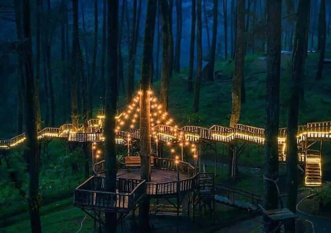 Taman Wisata Alam Lembang (sumber sukabumiupdate.com)