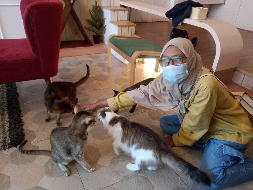 Superbee Pet Care and Cat Café 