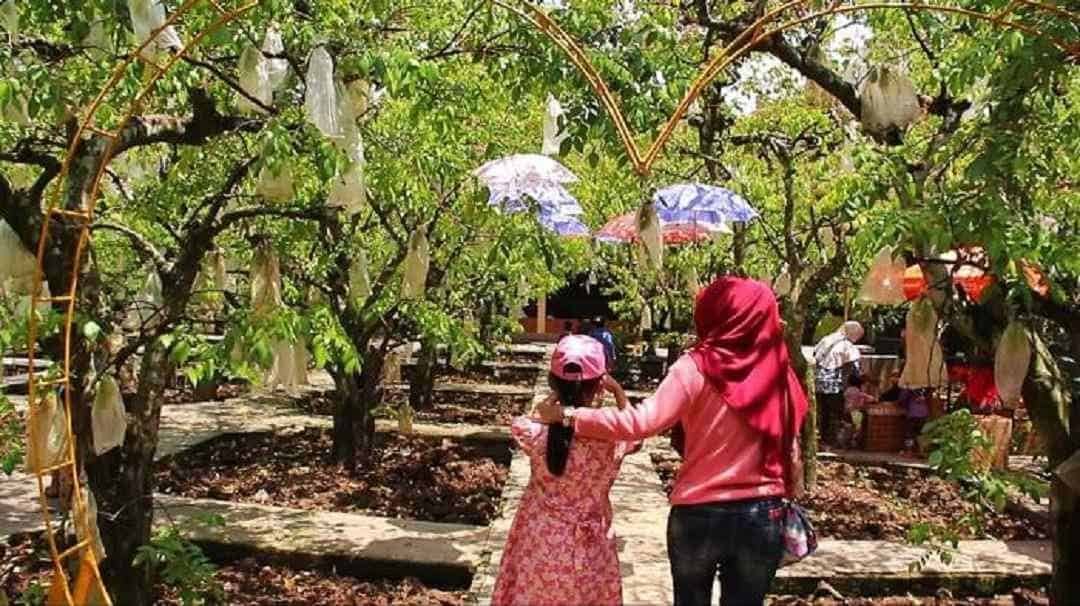 Agrowisata Belimbing