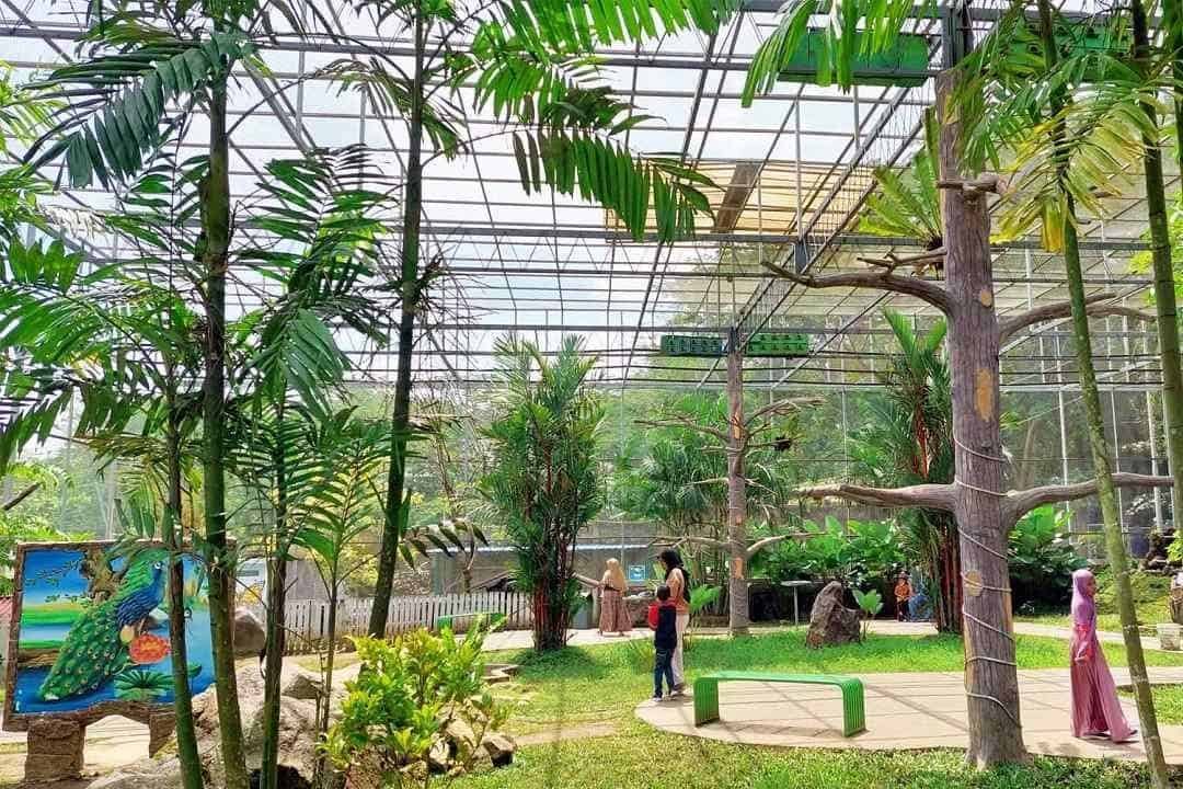 Central Park Zoo Medan