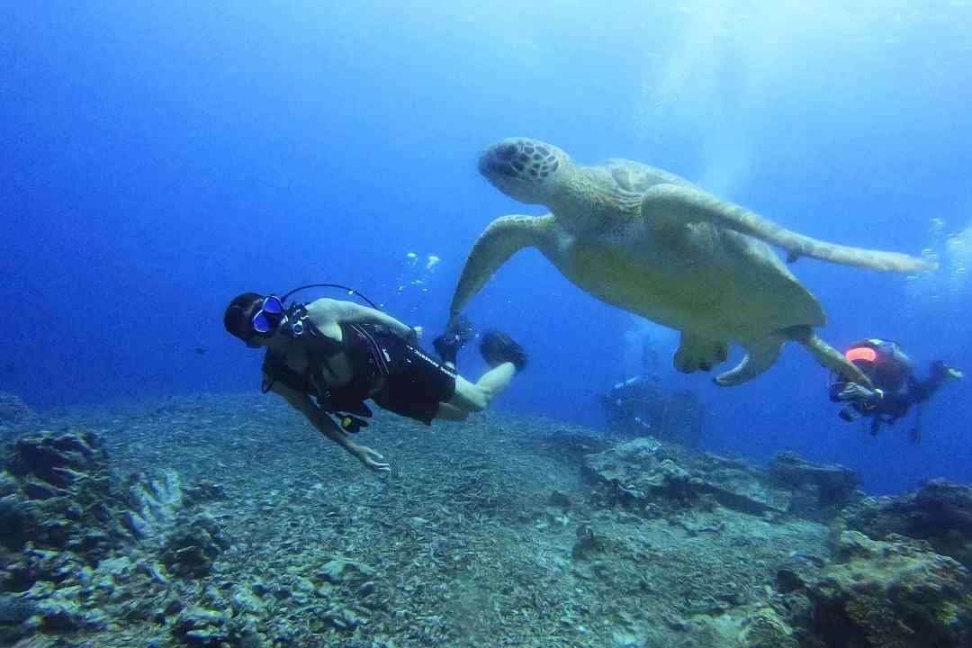Gili Tepekong