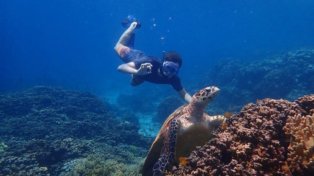 Pulau Menjangan