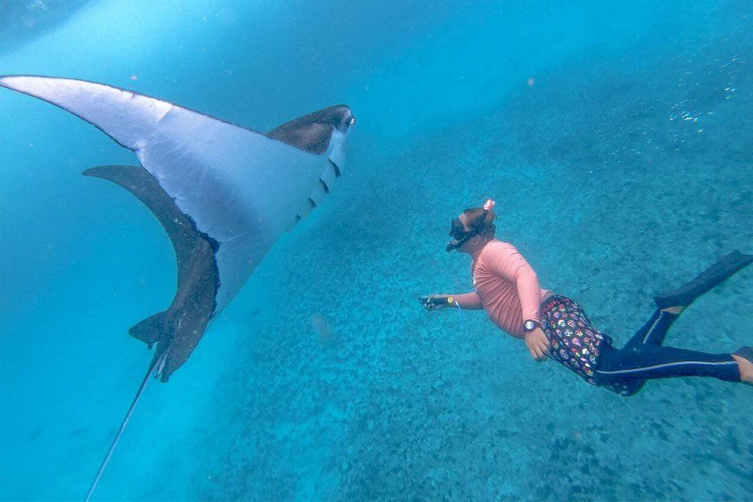 manta point