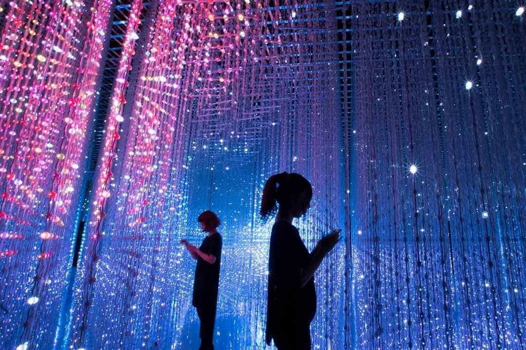 Art Science Museum