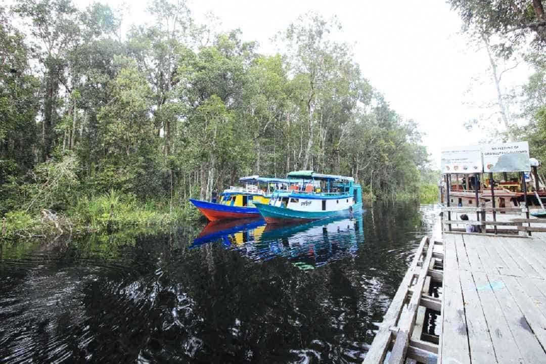 Sungai Sekonyer