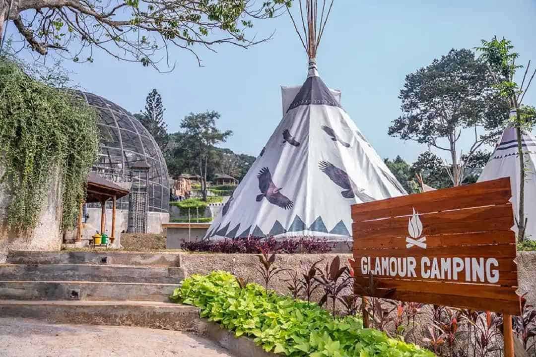 Spark forest adventure