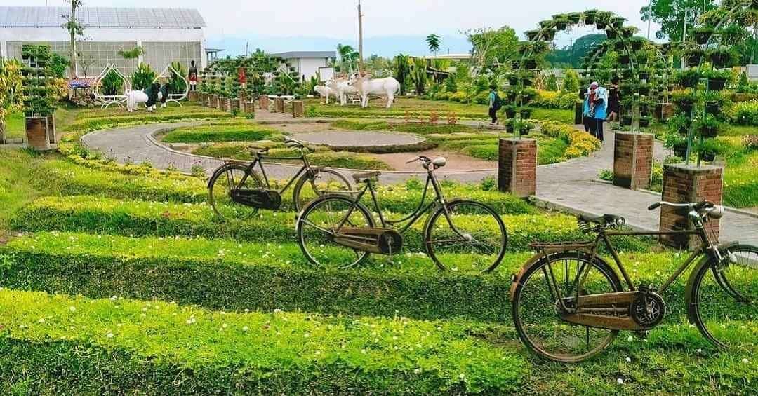 Berkebun di Jogja Agro Techno Park 