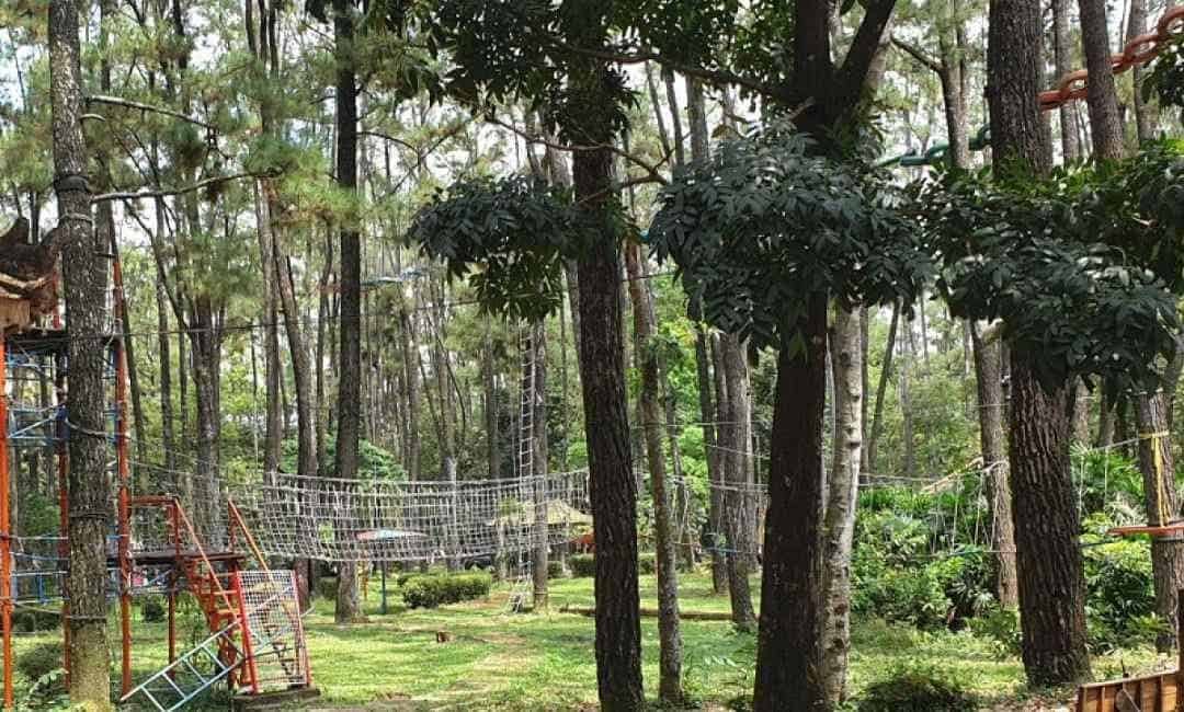 Hutan Punti Kayu 
