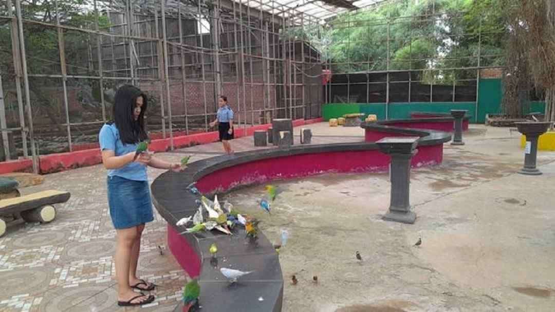 Palembang Bird Park