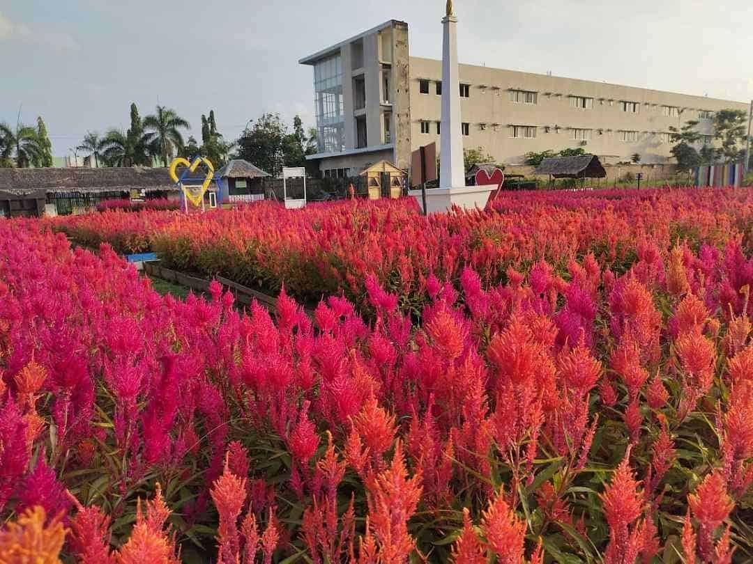 Taman Celosia Spring Hill