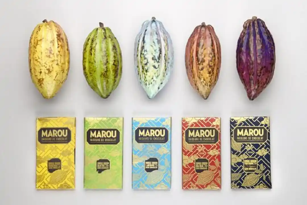 coklat marou