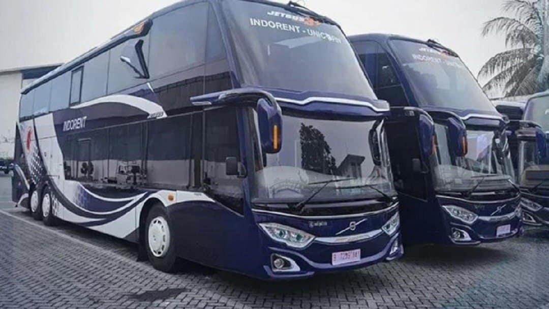 PO Unicorn Indorent