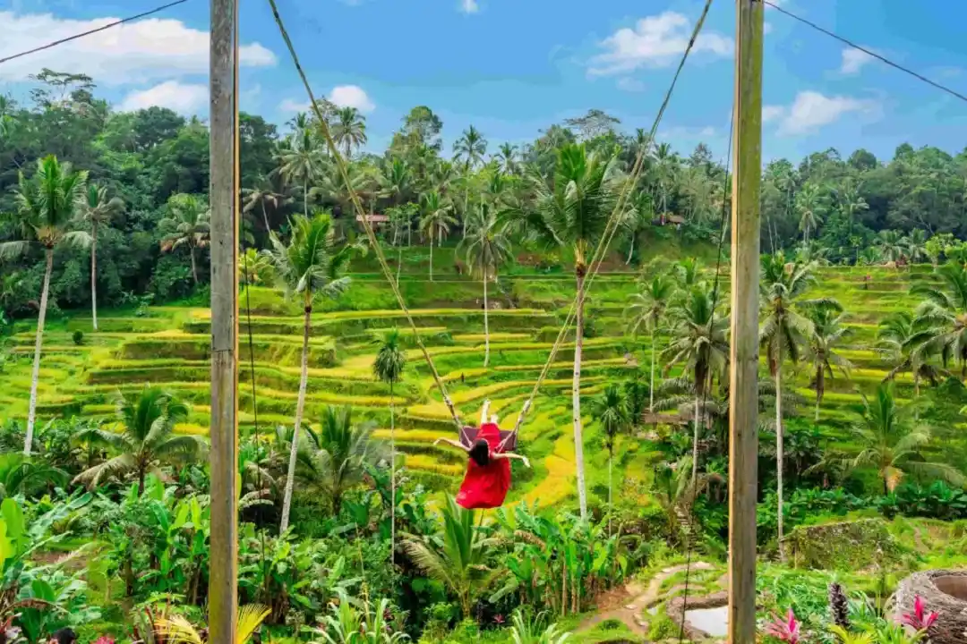 Tegalalang Rice Terrace
