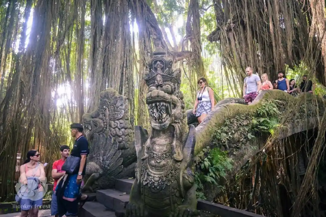 monkey forest ubud