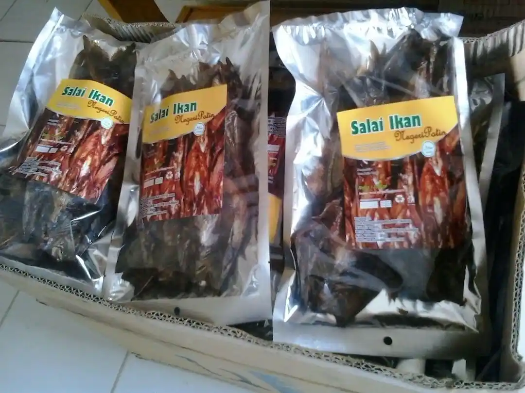 Salai Ikan Patin