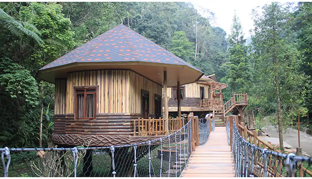 safari lodge
