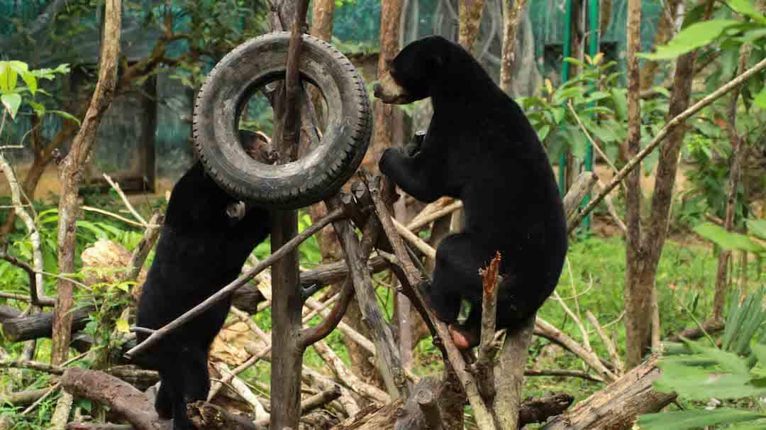 Kawasan Wisata Pendidikan Lingkungan Hidup