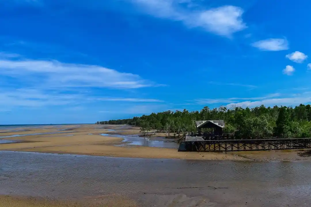 Pantai Pendopo Teritip
