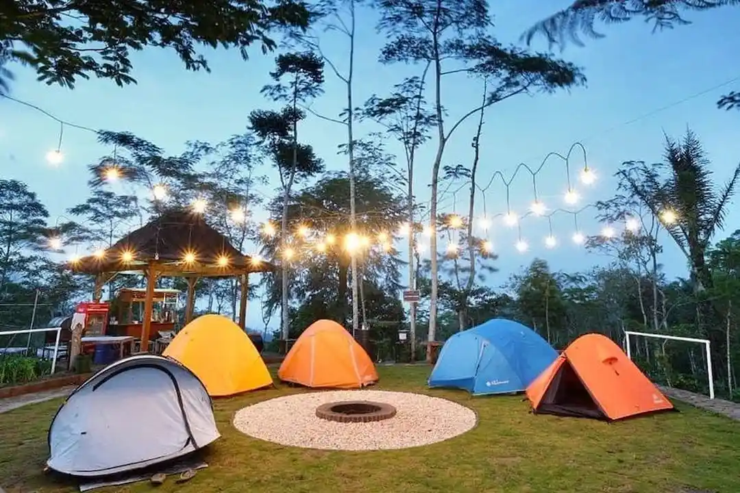 Kebun Teh Nglinggo