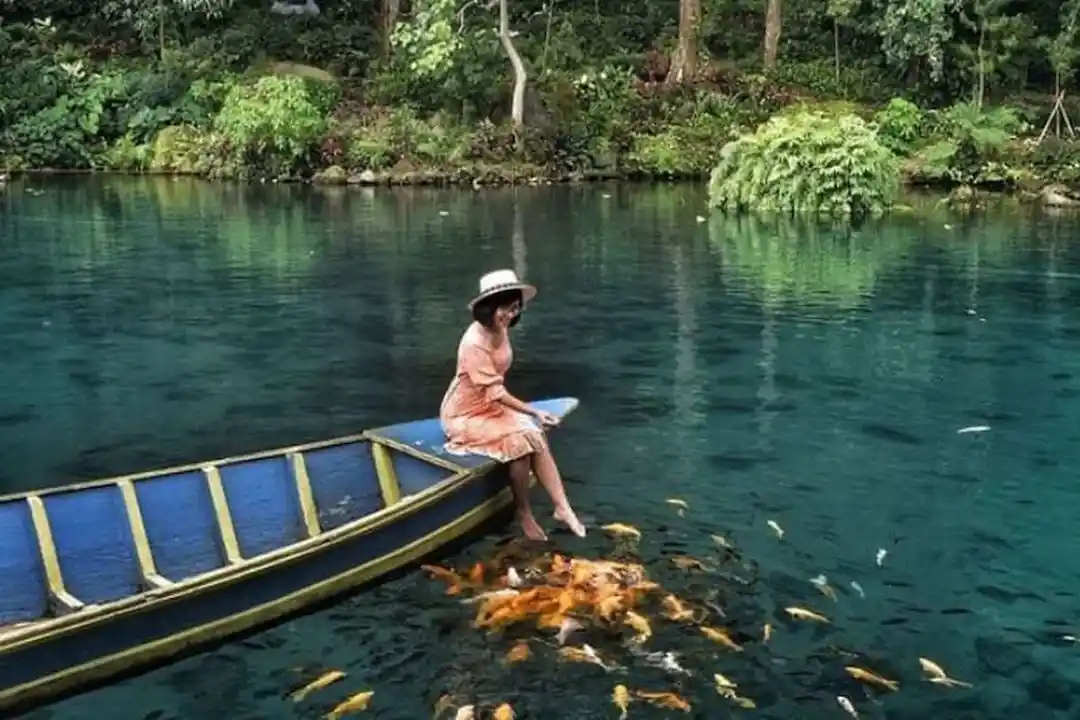 Situ Cipanten