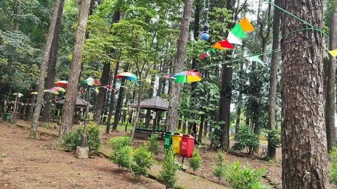 Hutan Pinus Mentaos