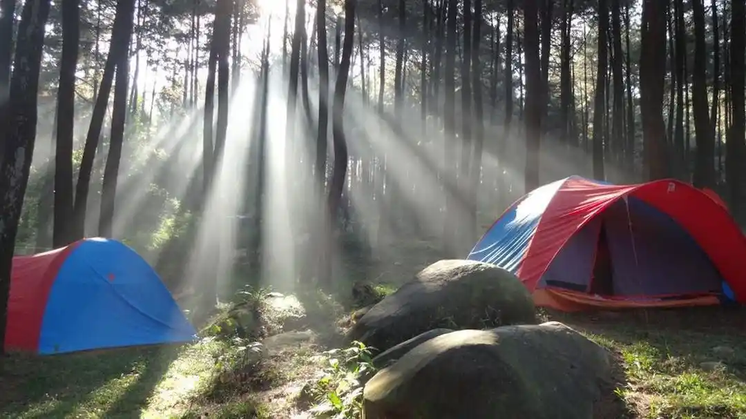 Taman Wisata Alam Gunung Pancar