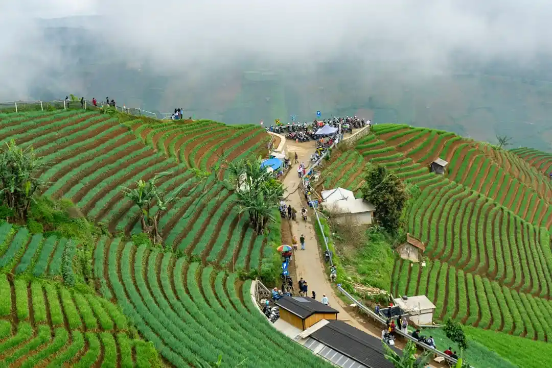 Terasering Panyaweuyan