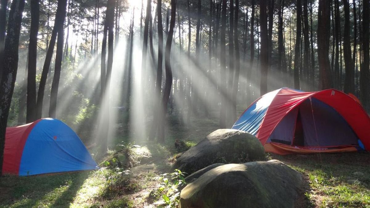 camping ground sentul