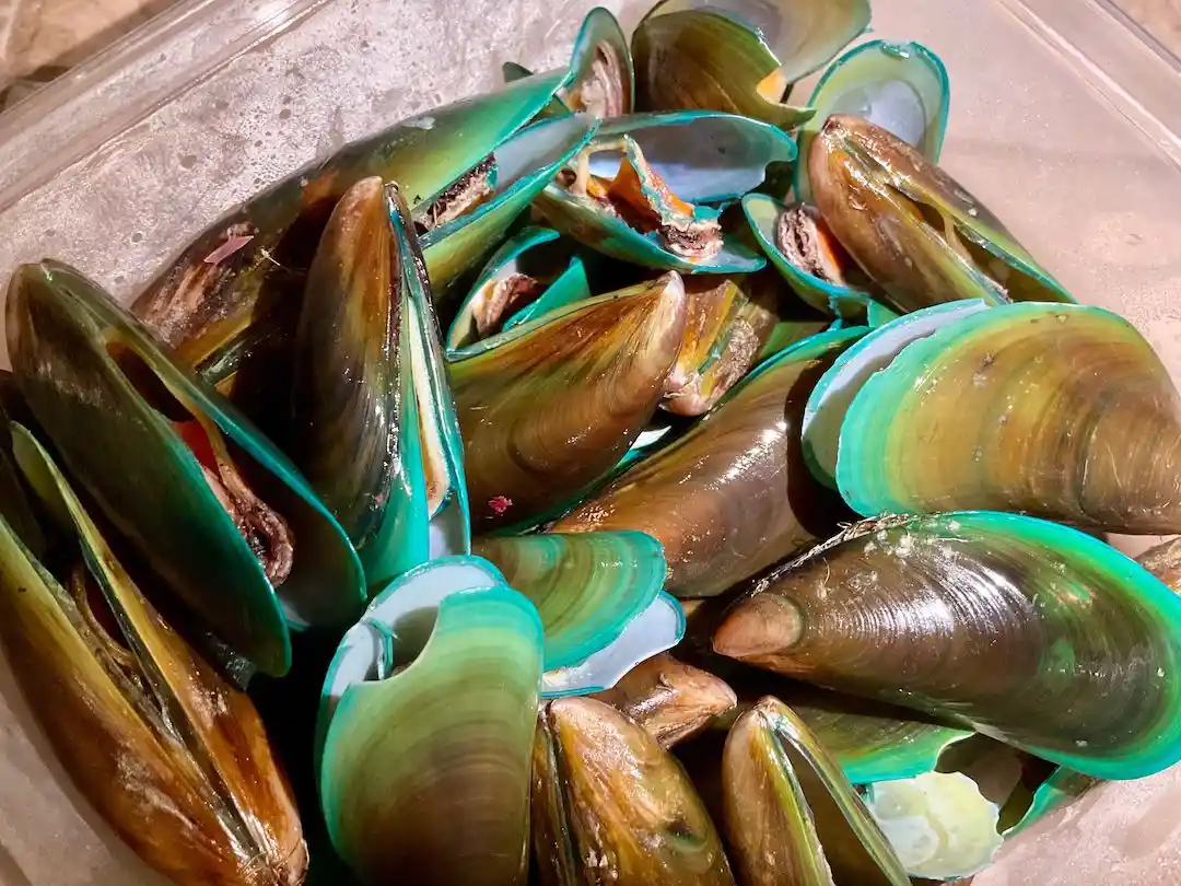 Kerang BKT Frozen