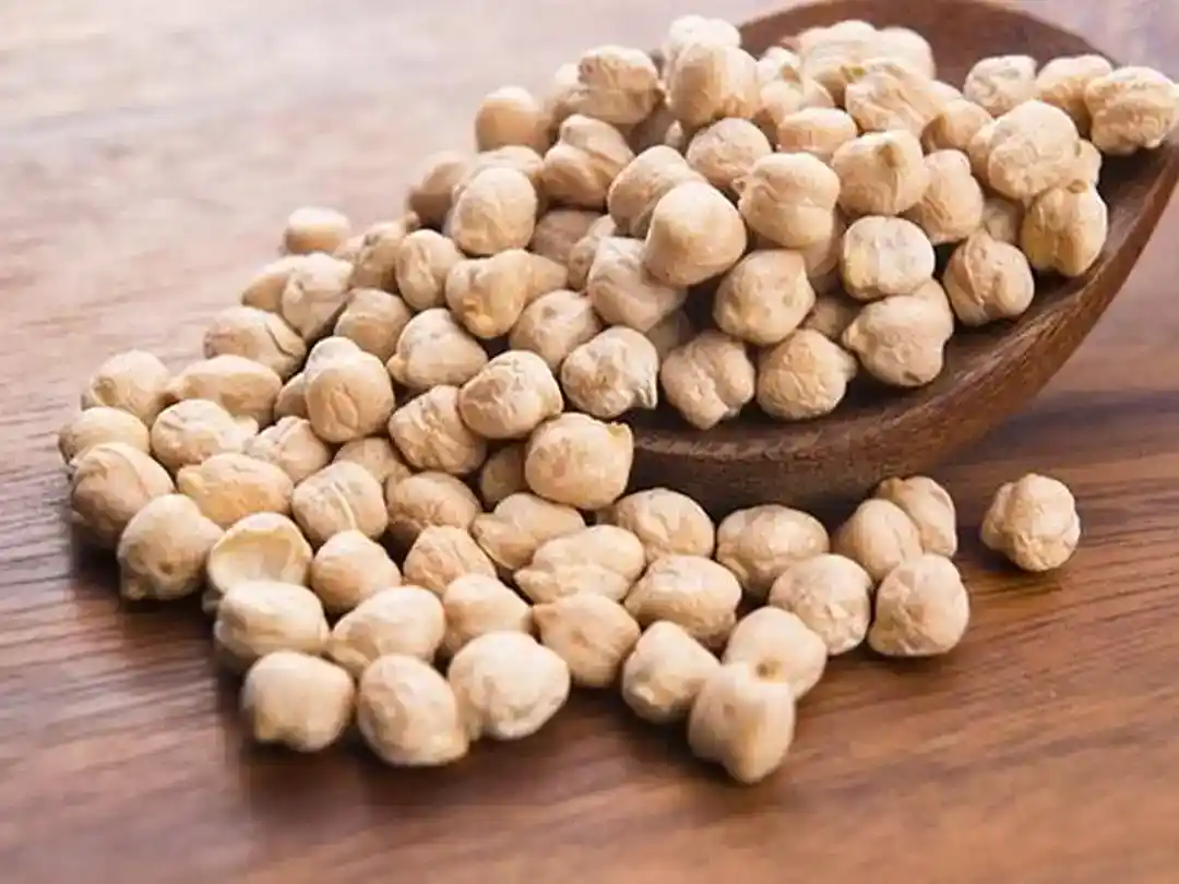 Kacang Arab