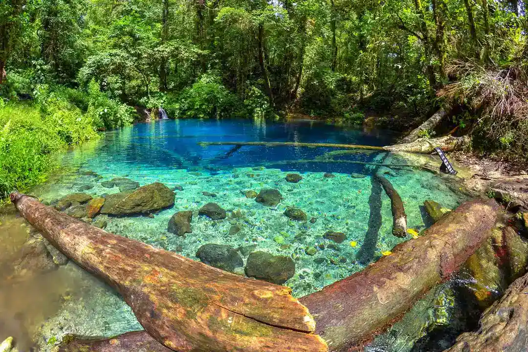 Taman Nasional Kerinci Seblat