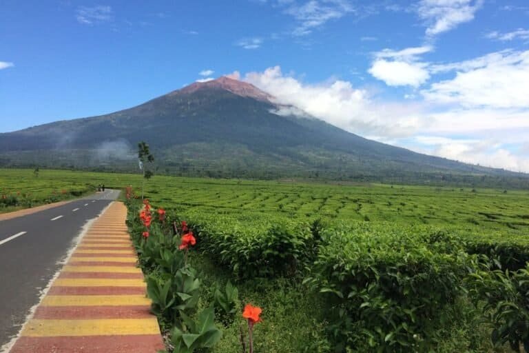 13 Tempat Wisata di Jambi, Wajib Masuk Bucket List Liburan!